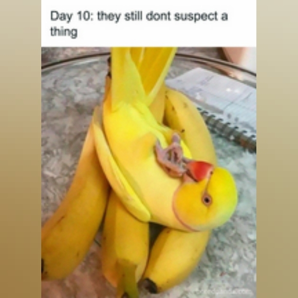 Please, feel free to send me an offer - Picture 8 of 10